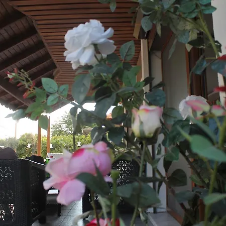 Lila Butik Otel 3*