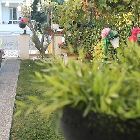 Hotel Lila Butik Dikili