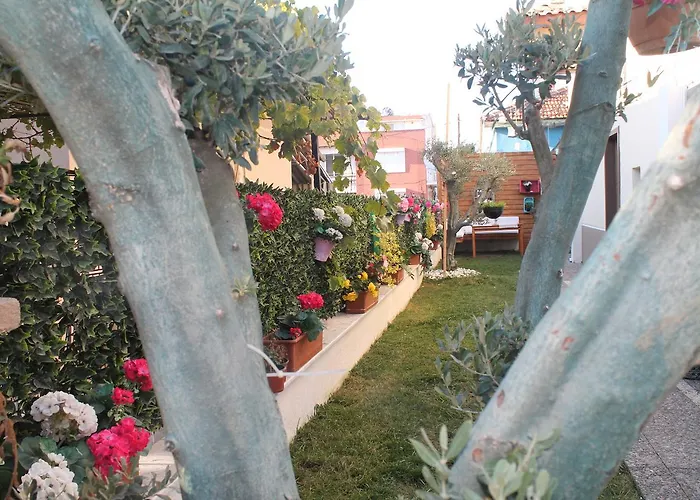 Lila Butik Дикили